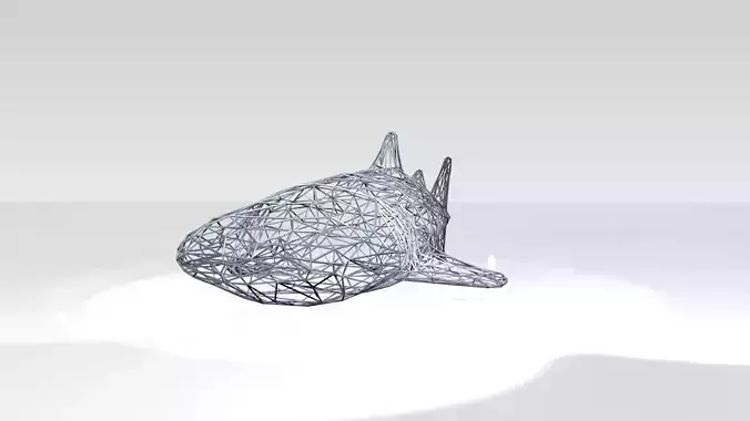 Whaleshark Wireframe