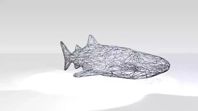 Whaleshark Wireframe