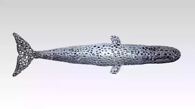 Whale Voronoi