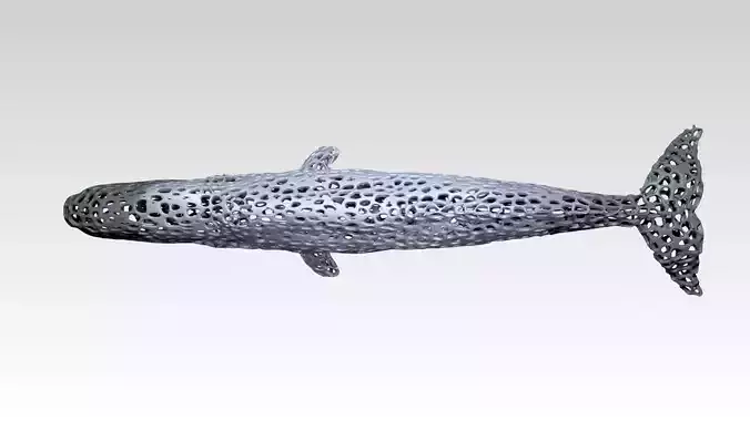Whale Voronoi