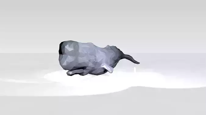 Whale Low Poligonal 3D model