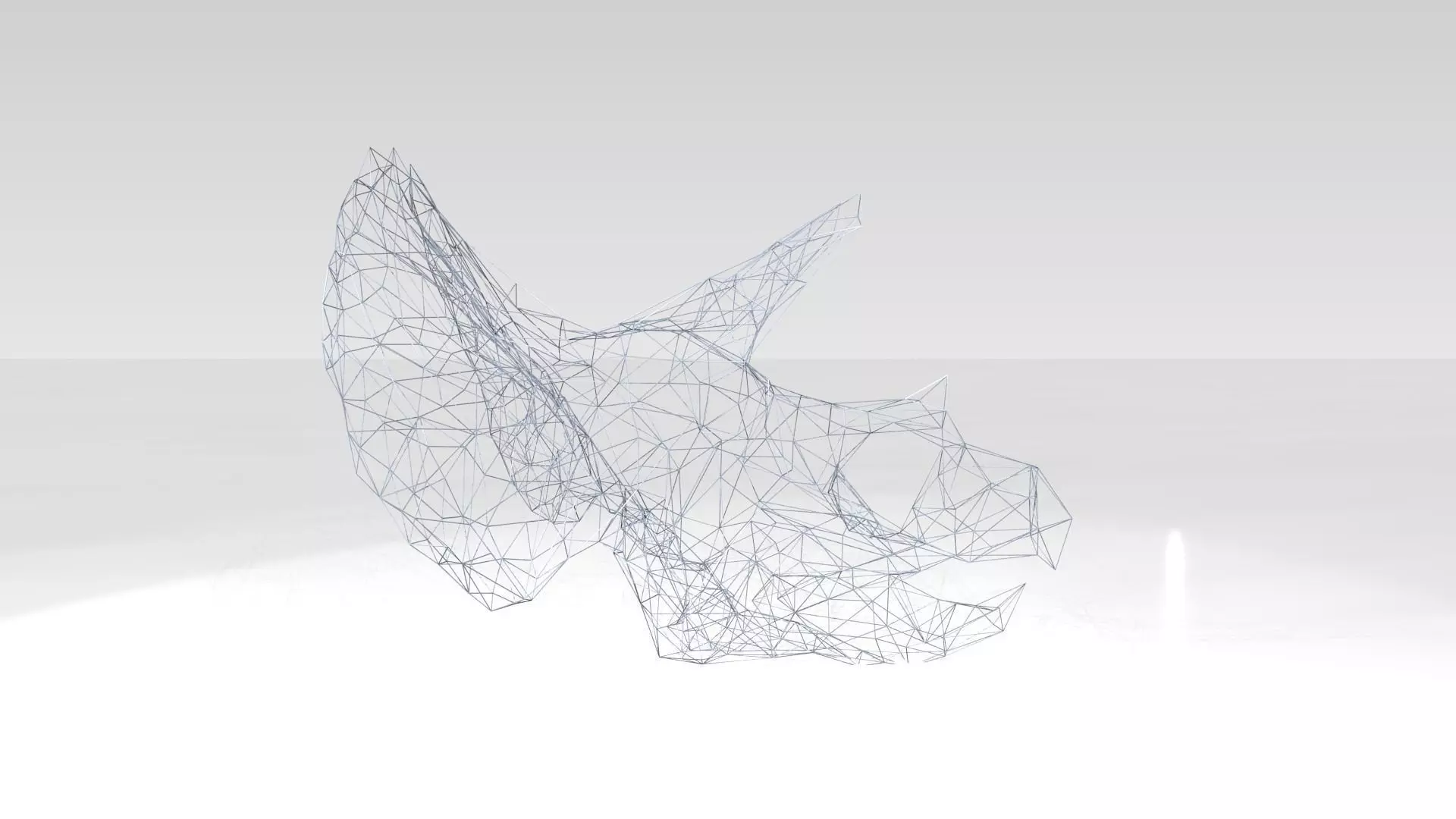 Triceratops Skull Wireframe 3D model_2