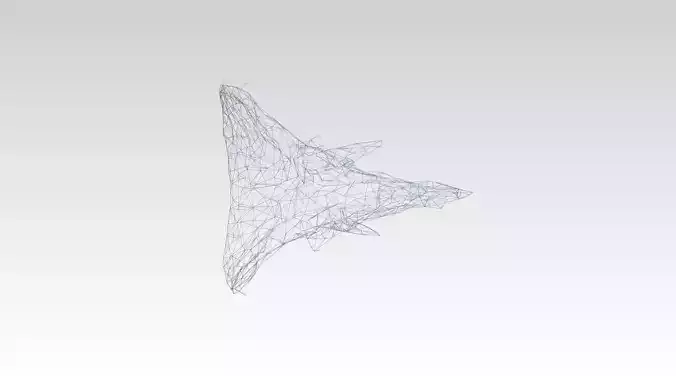 Triceratops Skull Wireframe