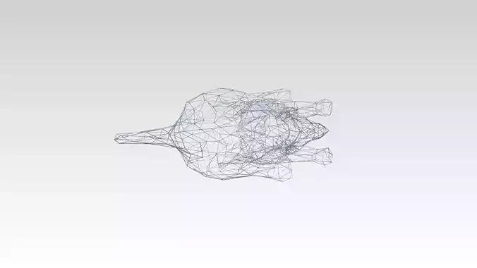 Triceratops Wireframe