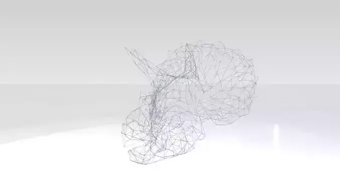 Triceratops Skull Wireframe 3D model