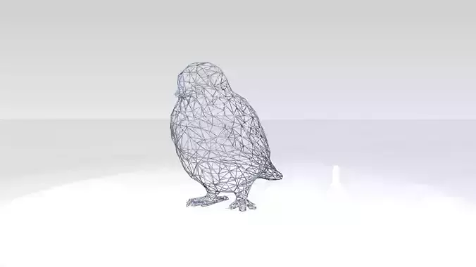 Swallow Wireframe
