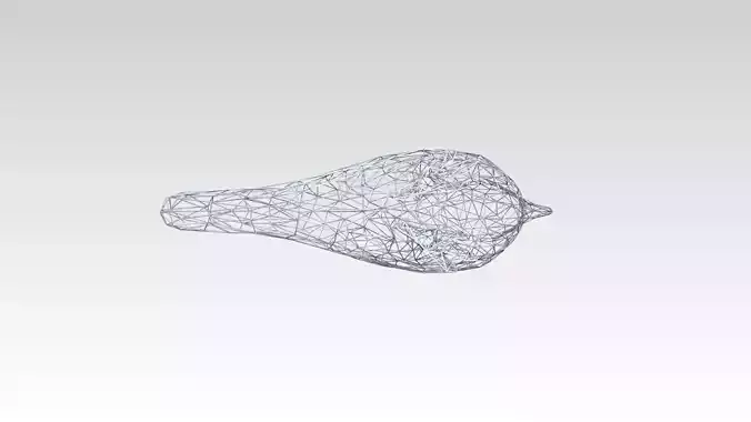 Swallow Wireframe