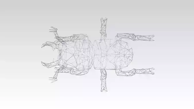 Stagbeetle Wireframe