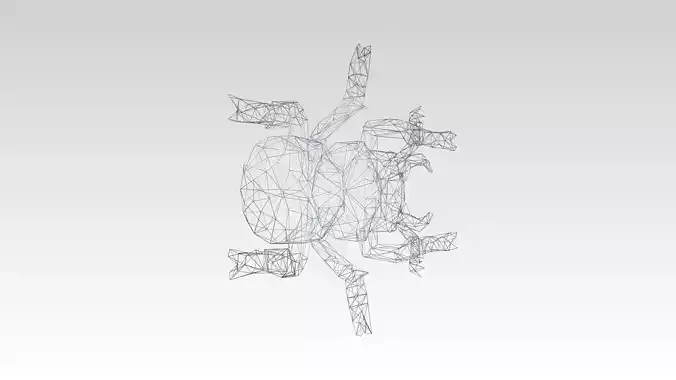 Stagbeetle Wireframe