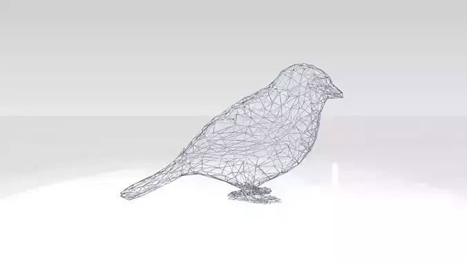 Sparrow Wireframe