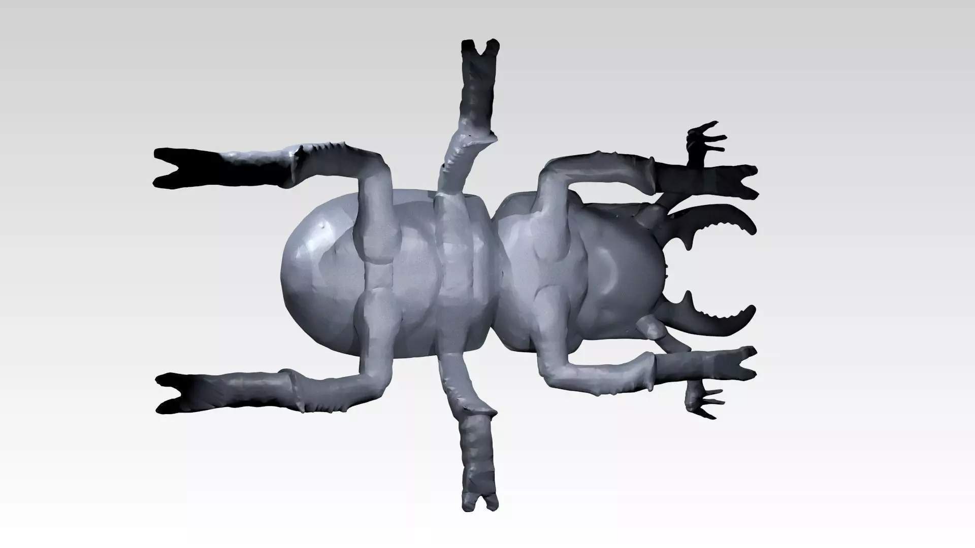 Stagbeetle Dust Voronoi 3D model_6