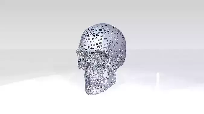 Skull Voronoi