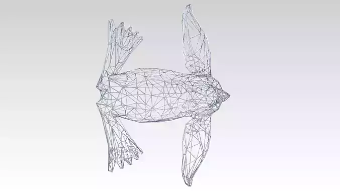 Seal Wireframe