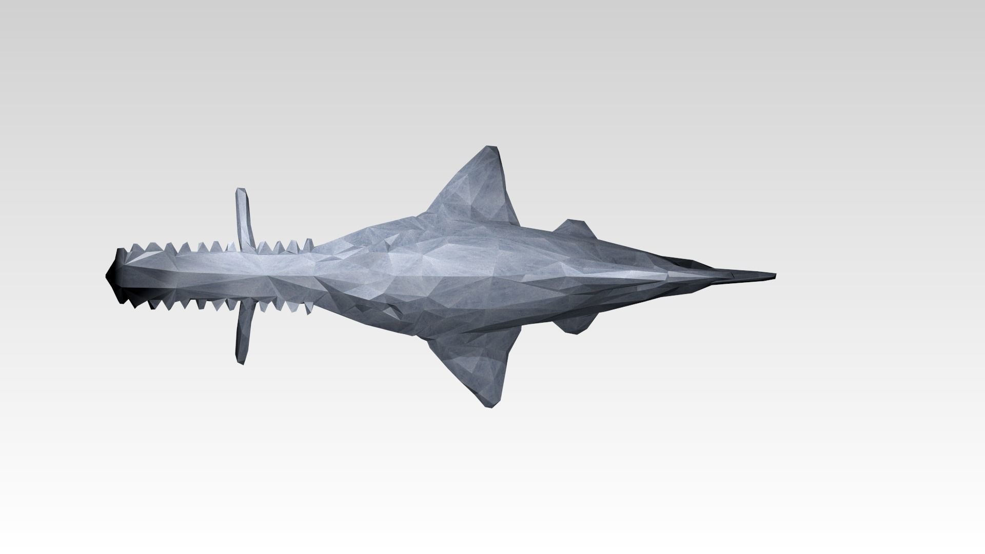 Sawshark Low Poligonal 3D model_5