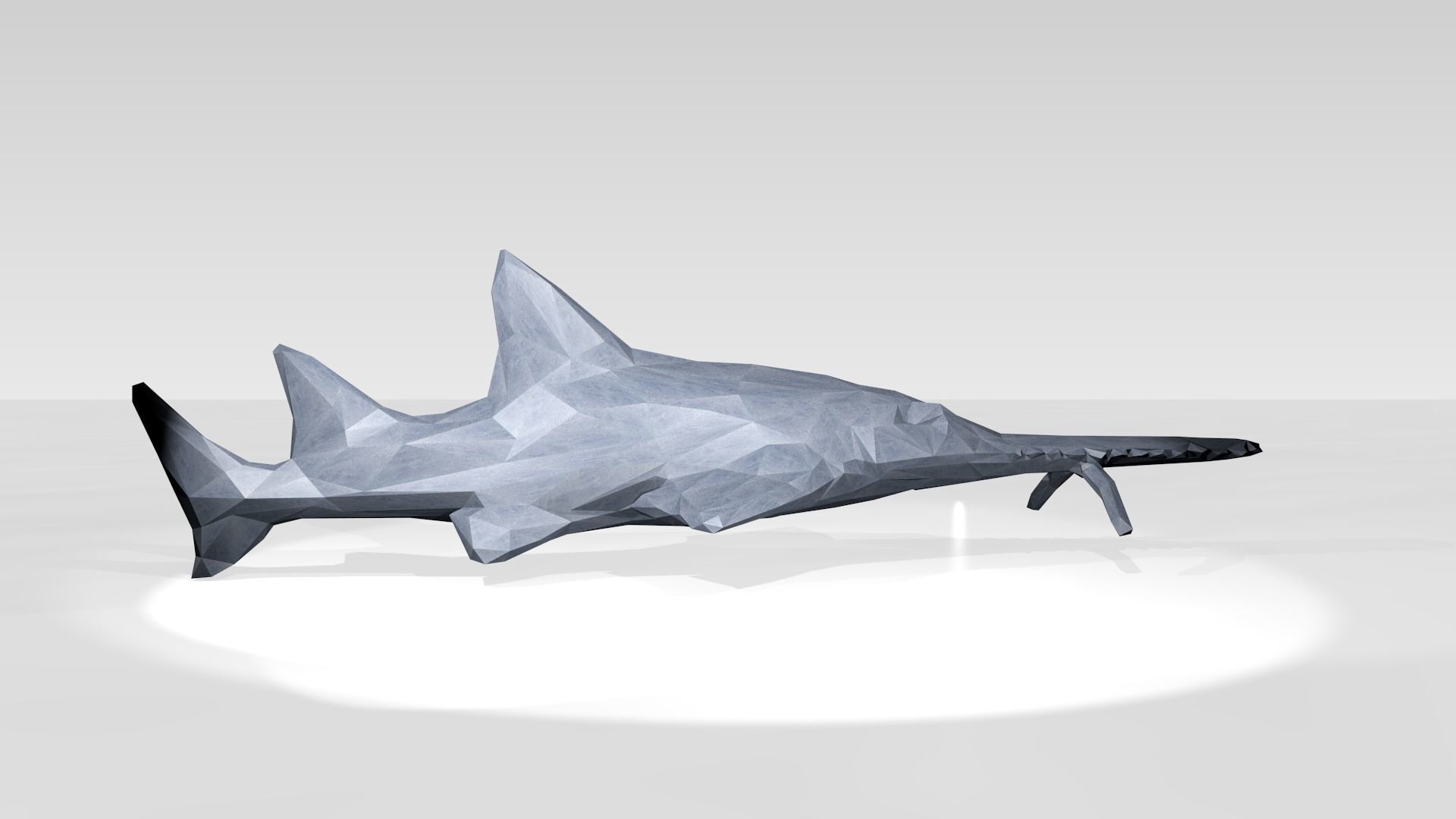 Sawshark Low Poligonal 3D model_2