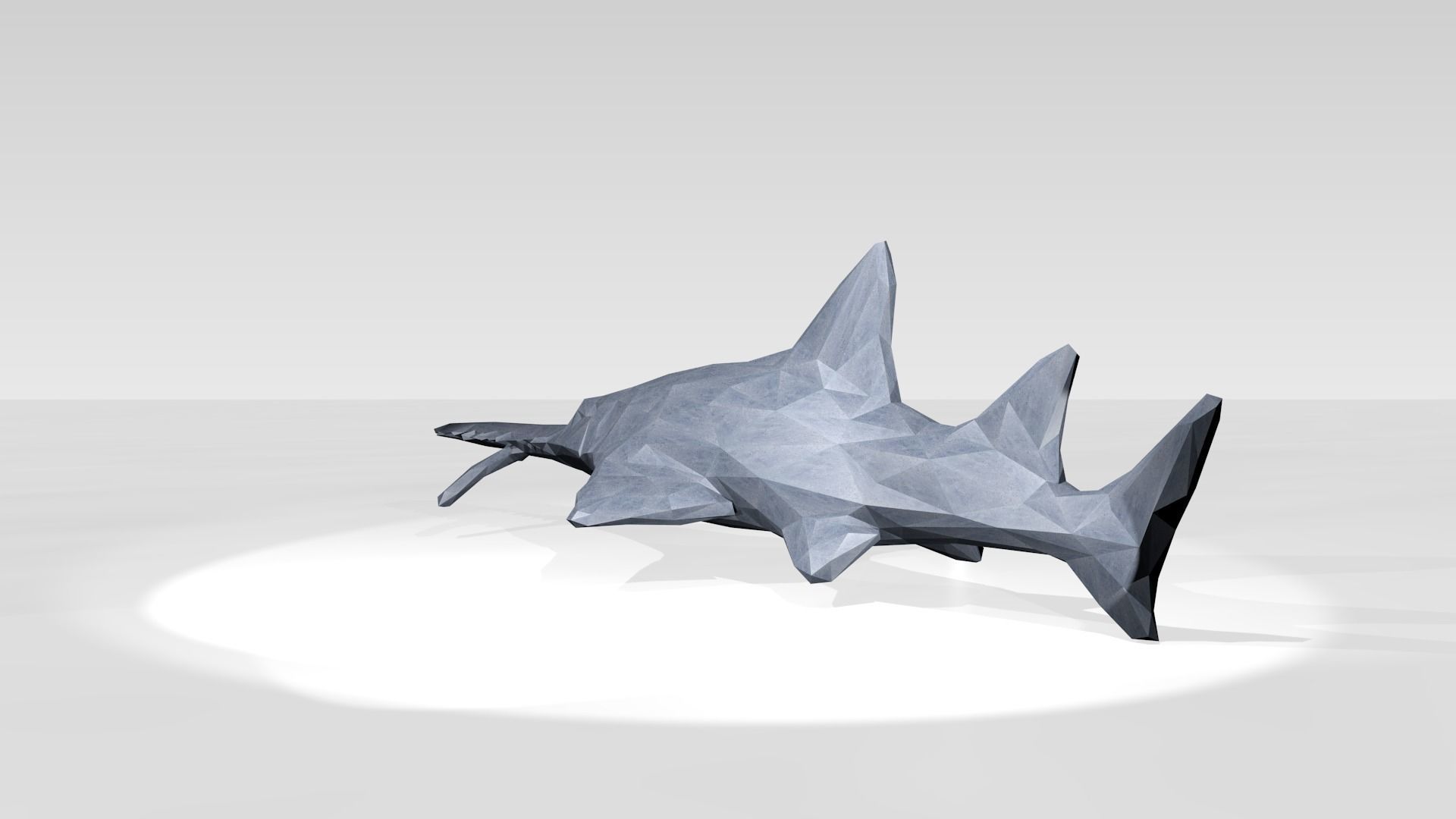 Sawshark Low Poligonal 3D model_4