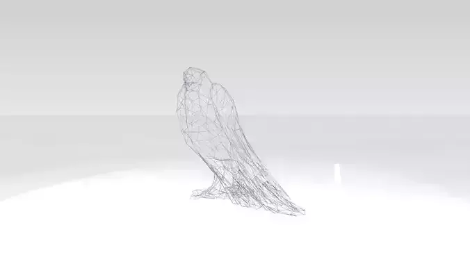 Parrot Wireframe