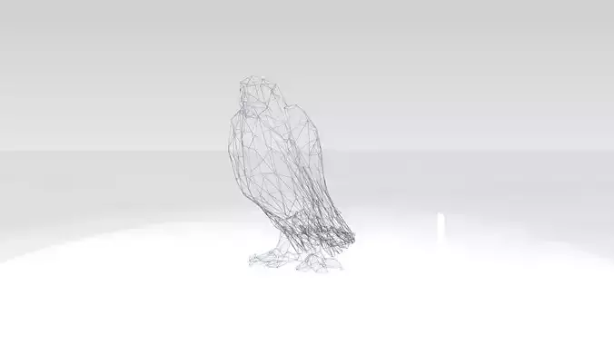 Parrot Wireframe