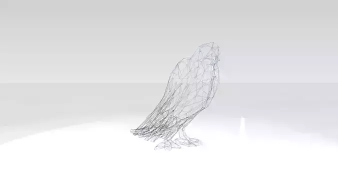 Parrot Wireframe
