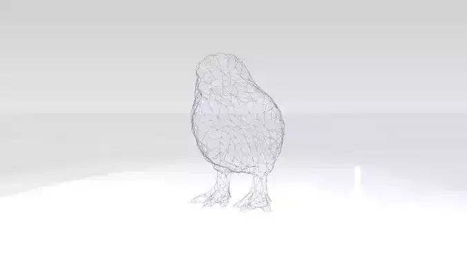 Chick Wireframe