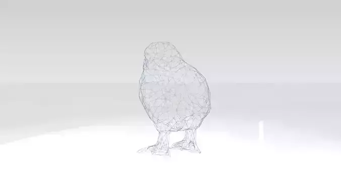 Chick Wireframe