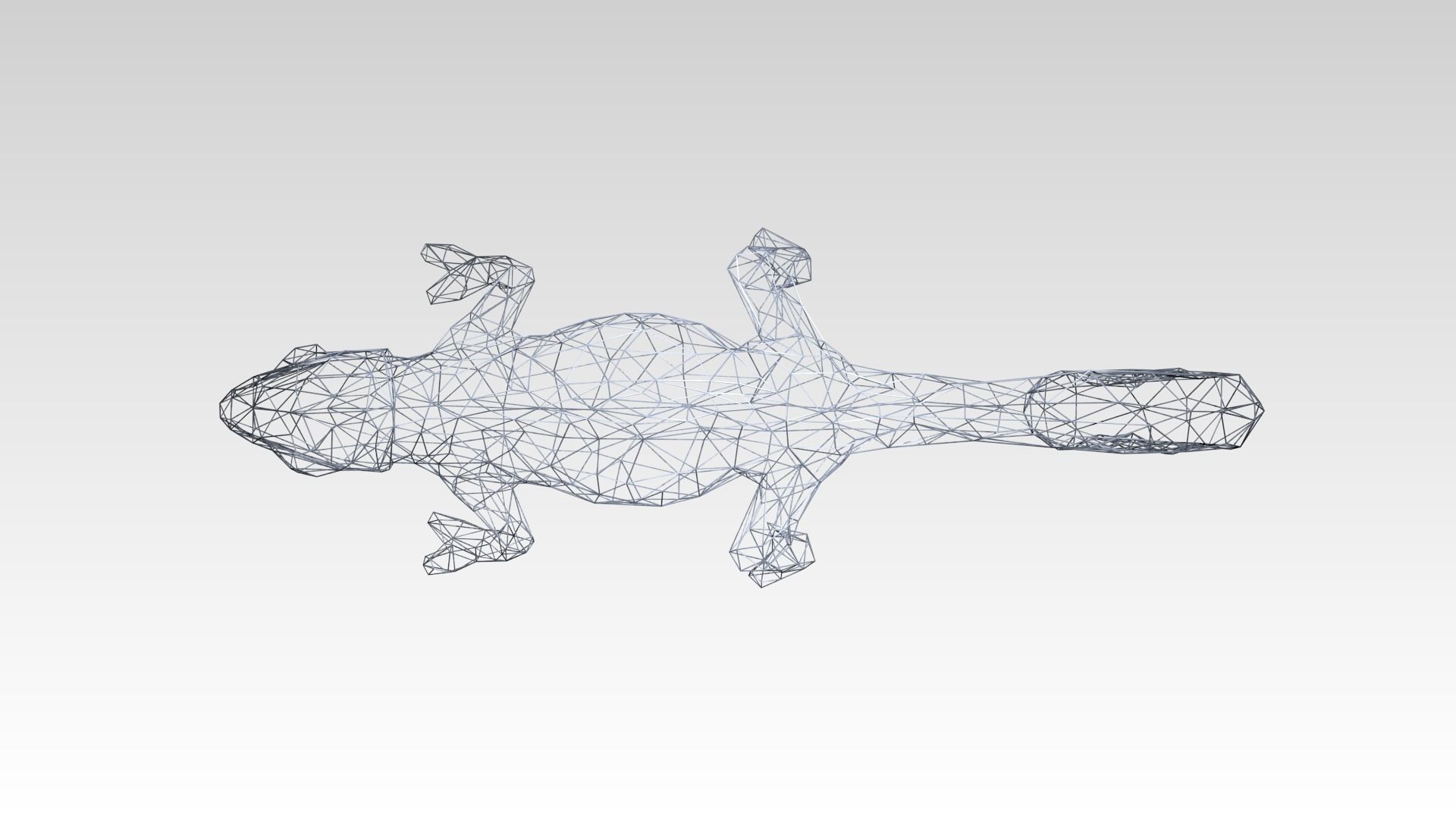 Chameleon Wireframe 3D model_5