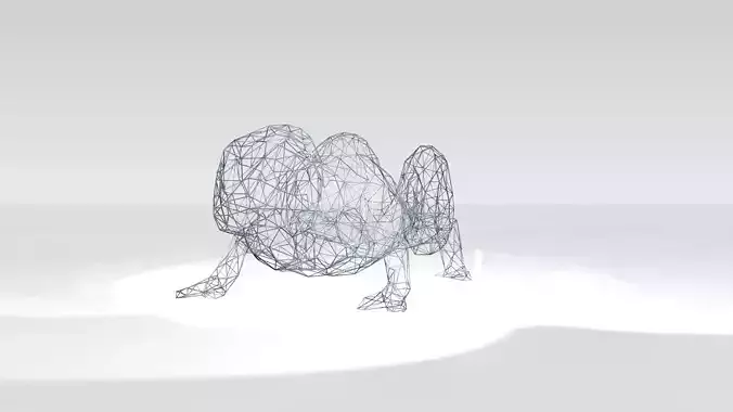 Chameleon Wireframe