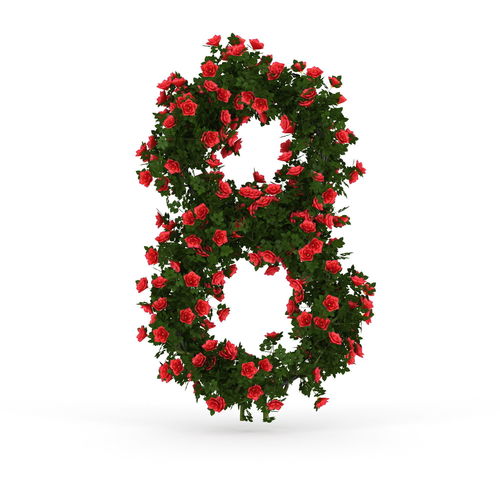 Rose eight 3D model