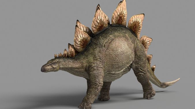 Stegosaurus animations Low-poly 3D model