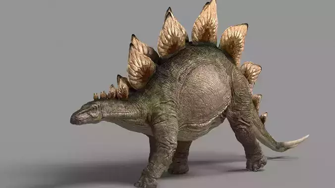 Stegosaurus animations Low-poly 3D model