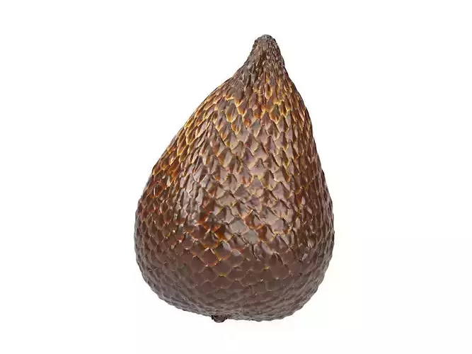 Photorealistic Salak 3D Scan