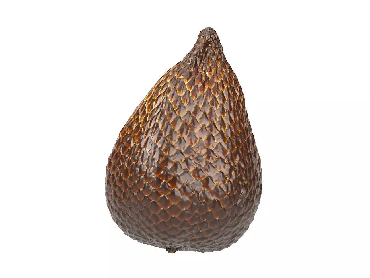Photorealistic Salak 3D Scan 3D model