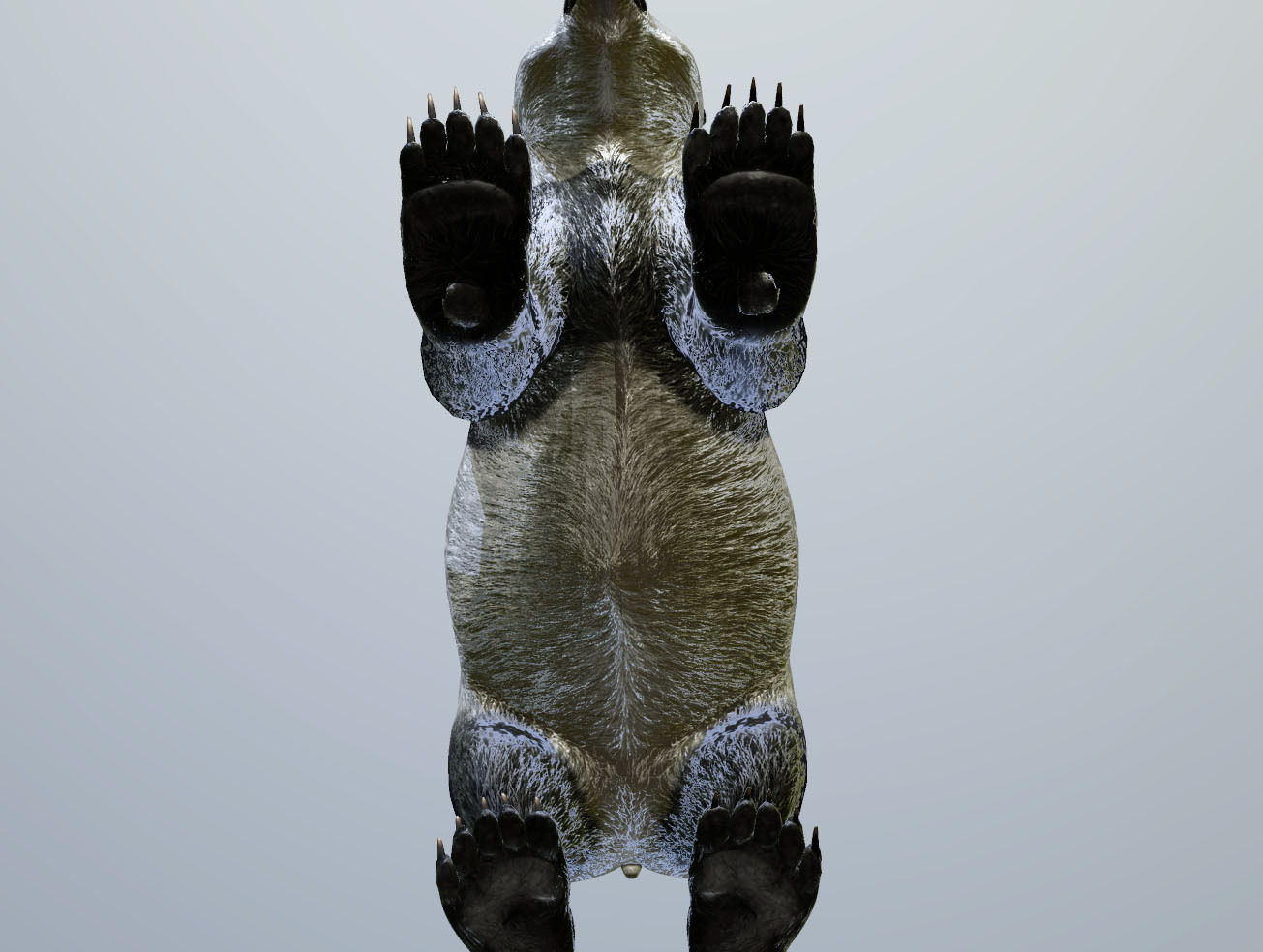 Panda -Lowpoly bear Low-poly 3D model_3