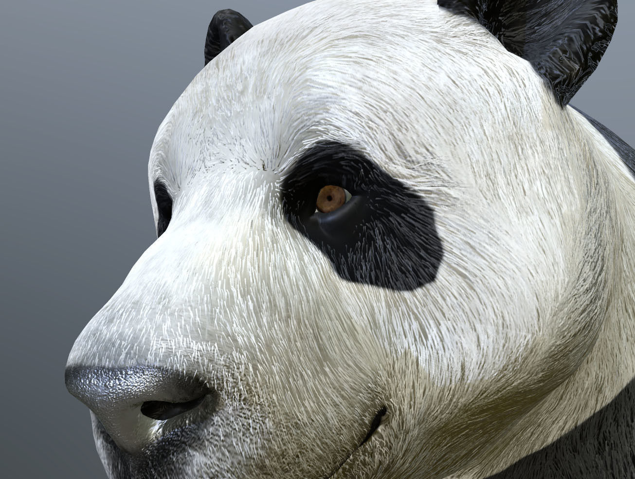 Panda -Lowpoly bear Low-poly 3D model_1