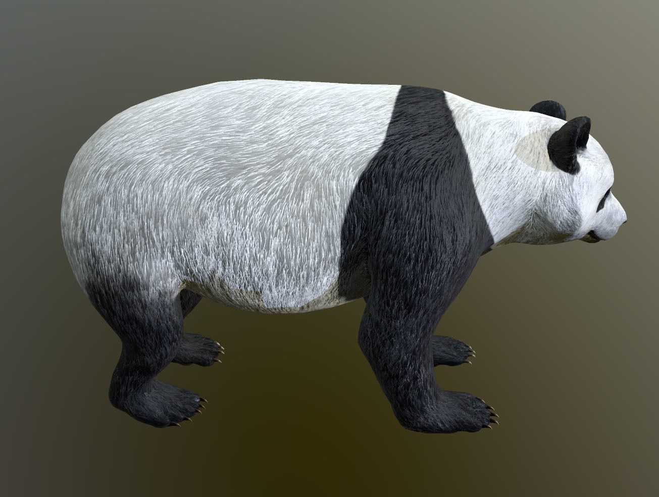 Panda -Lowpoly bear Low-poly 3D model_4