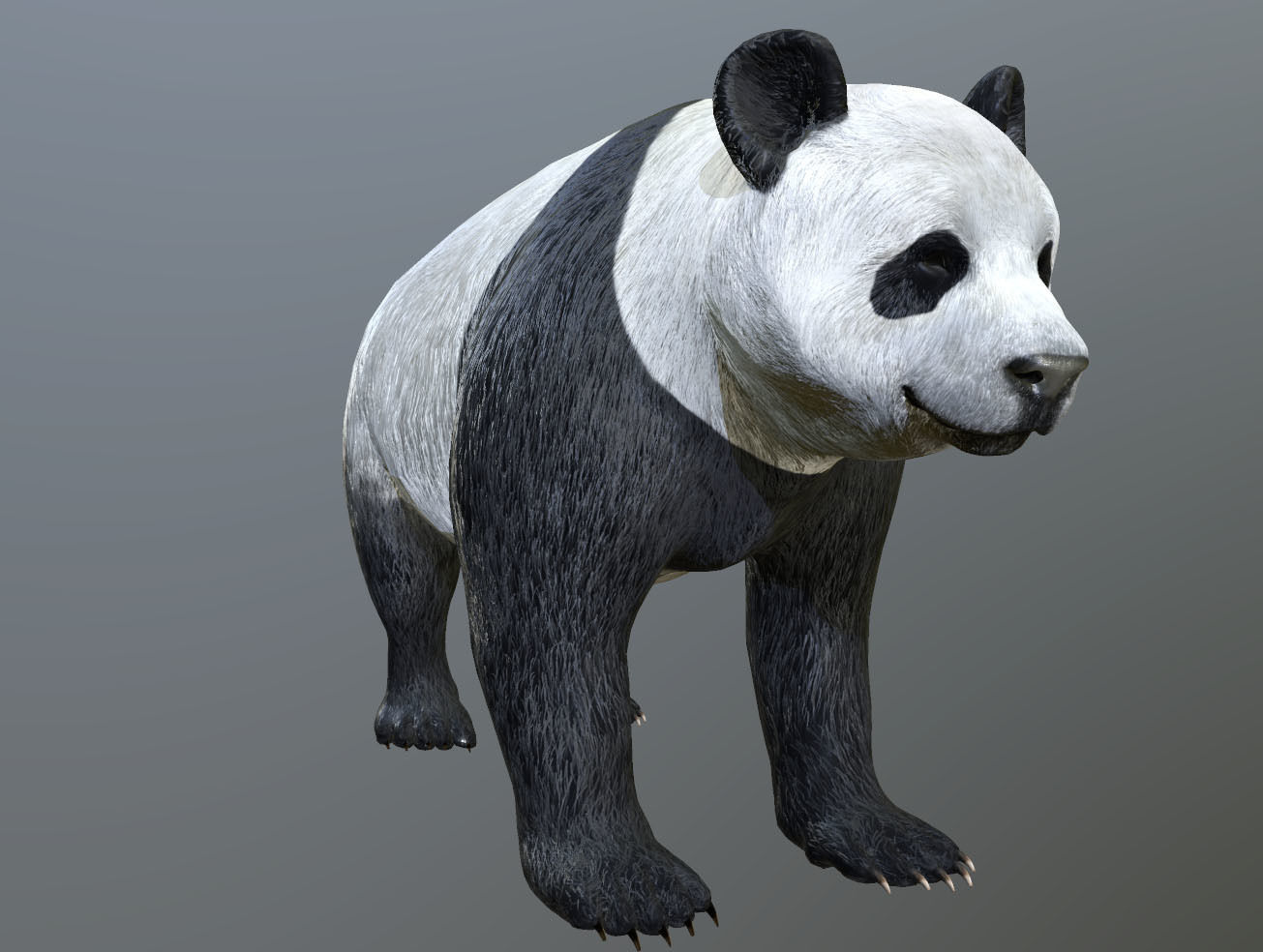 Panda -Lowpoly bear Low-poly 3D model_5