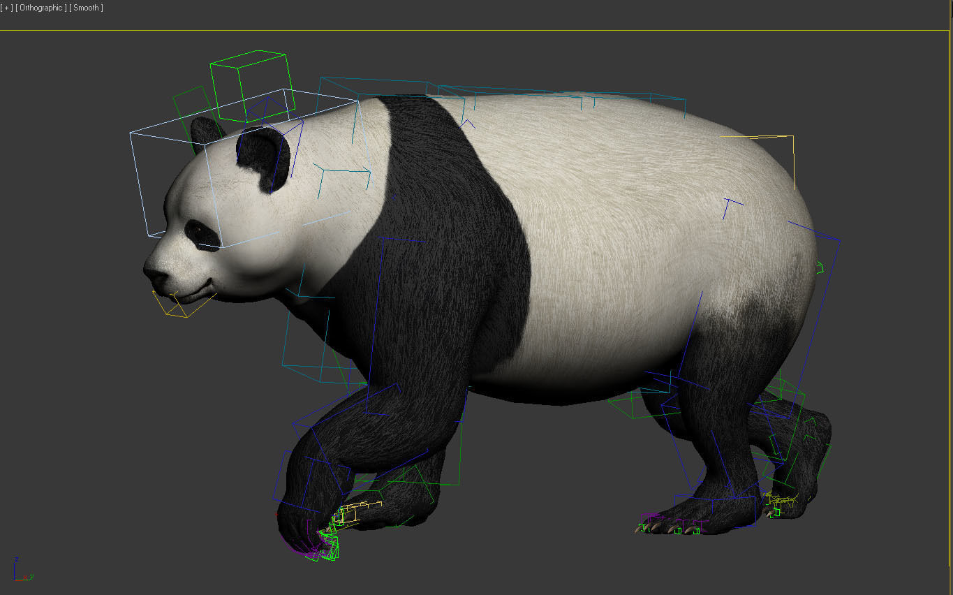 Panda -Lowpoly bear Low-poly 3D model_10