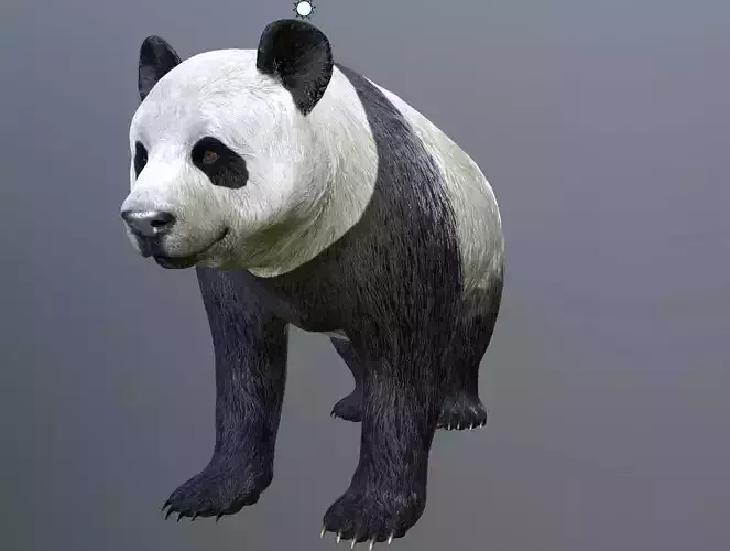 Panda -Lowpoly bear Low-poly 3D model