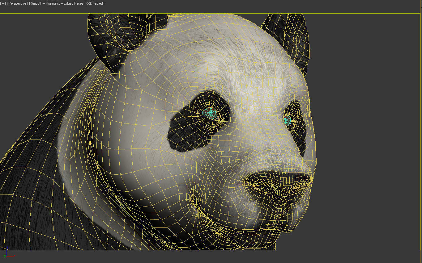 Panda -Lowpoly bear Low-poly 3D model_12