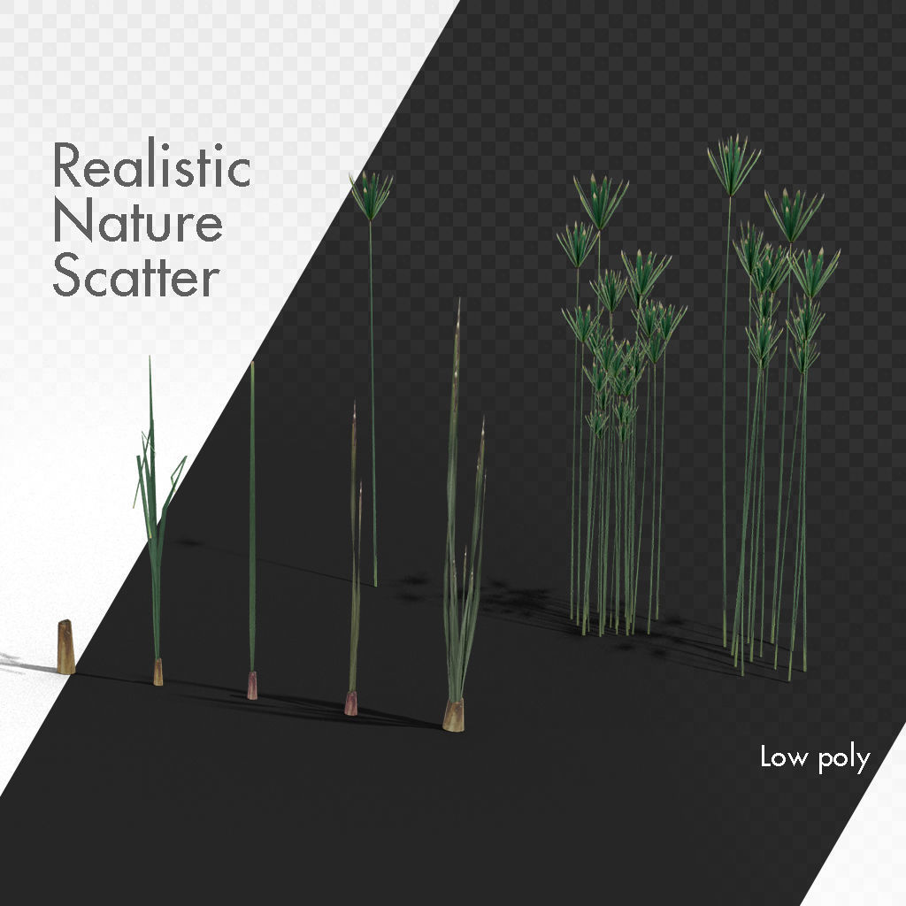 Wetlands Nature Scatter elements plants grass reeds etc 3D model_6