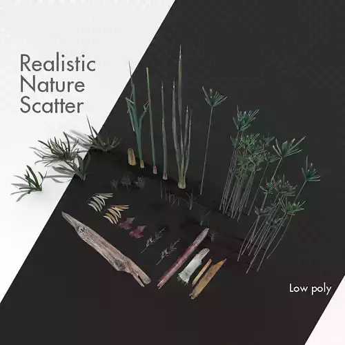Wetlands Nature Scatter elements plants grass reeds etc 3D model