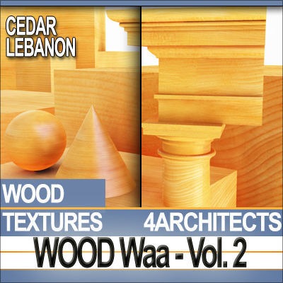 Wood and Materials Vol 2 Texture_6