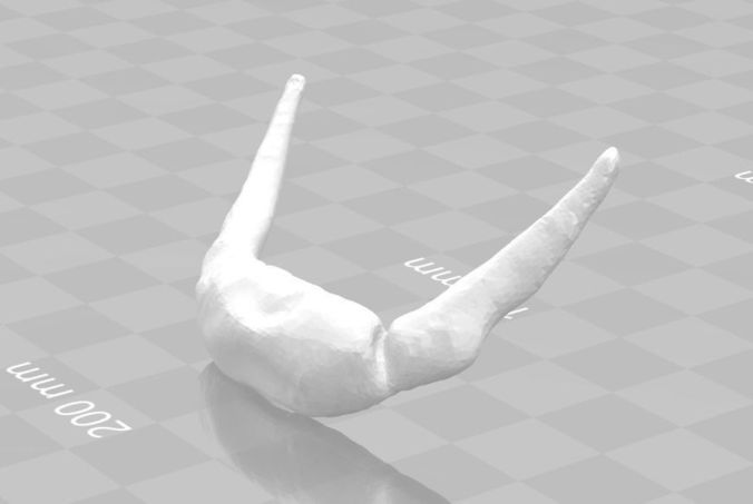 Hyoid Bone 3D model