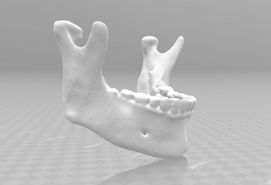 Lower jaw - male  3D model_5