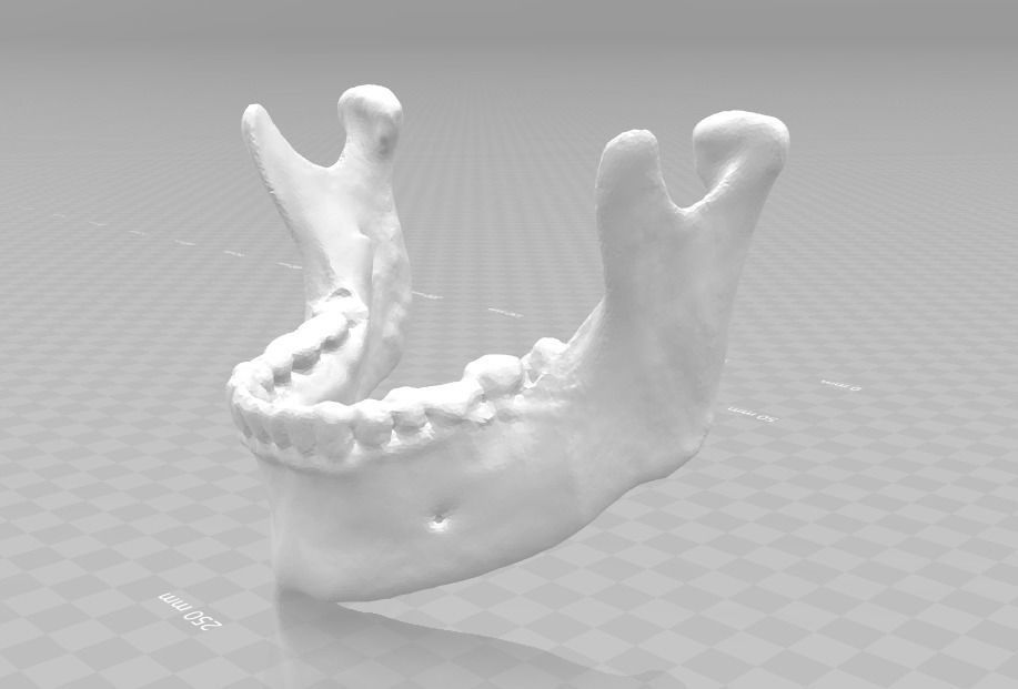 Lower jaw - male  3D model_3