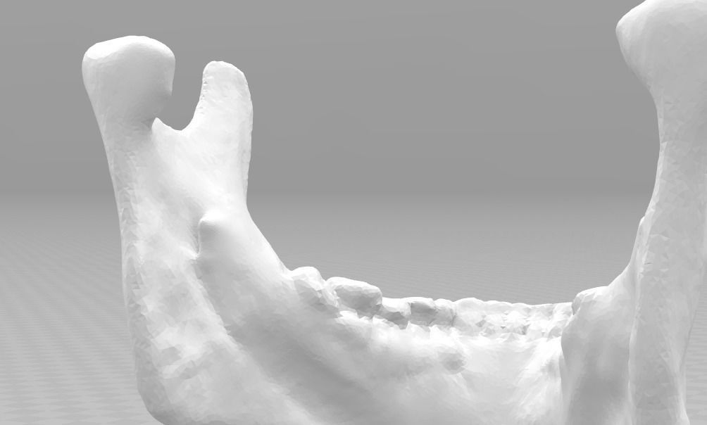 Lower jaw - male  3D model_7