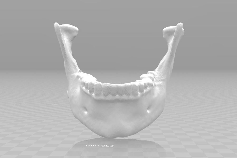 Lower jaw - male  3D model_2