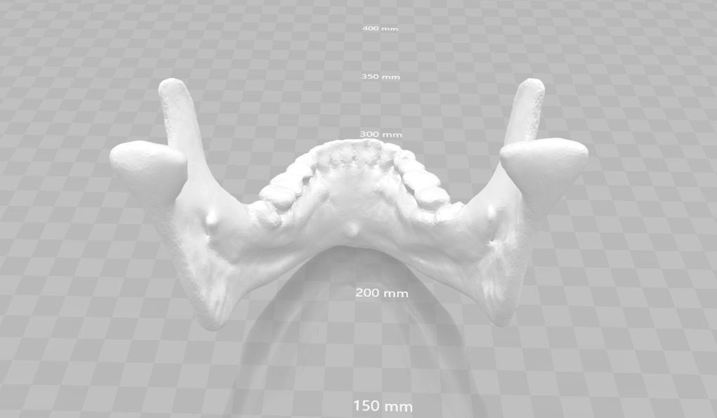 Lower jaw - male  3D model_4