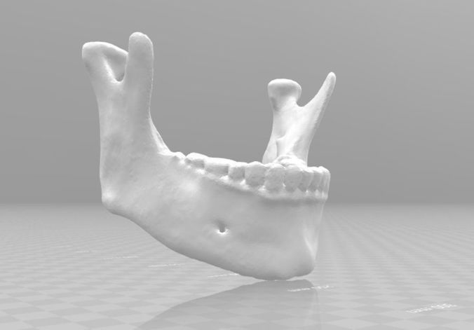 Lower jaw - male  3D model