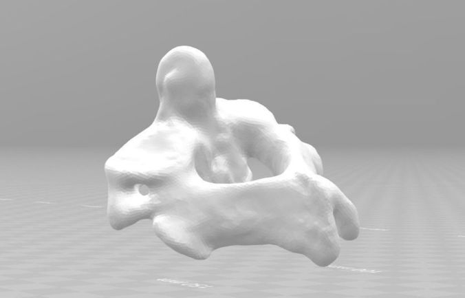Axis - C2 vertebra 3D model